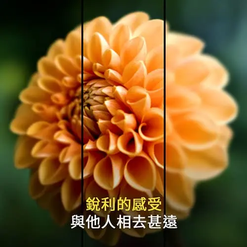 可配合使用者的視覺敏感度